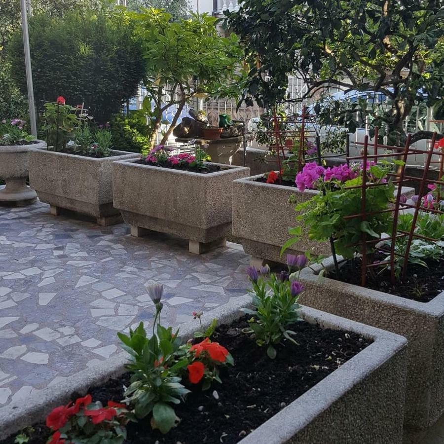 Ckuljevic Guest house 3*